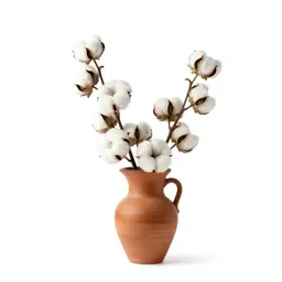 Upland cotton