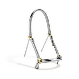 Bridle with brass fittings