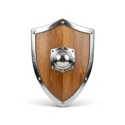 Wooden shield with an iron boss