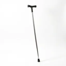 Walking cane