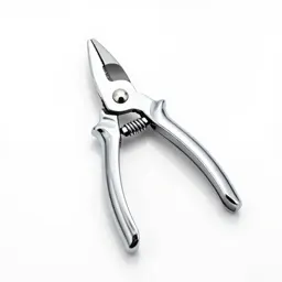 Pair of secateurs