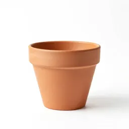 Terracotta plant pot