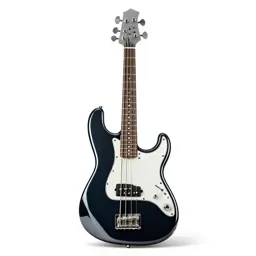 Bass guitar