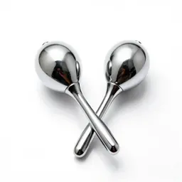 Pair of maracas