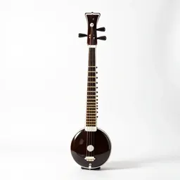 Sitar