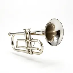 Tuba