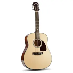 Acoustic guitar