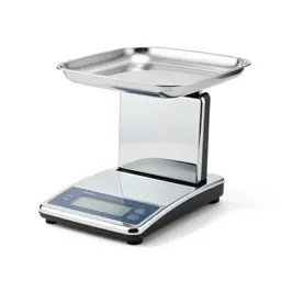 Kitchen scale
