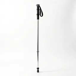 Trekking pole