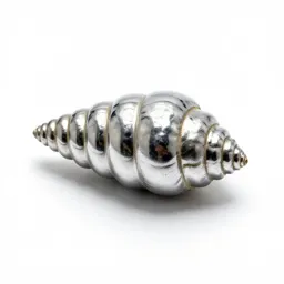 Fossil trilobite