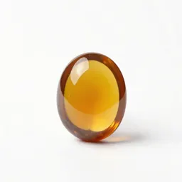Amber specimen