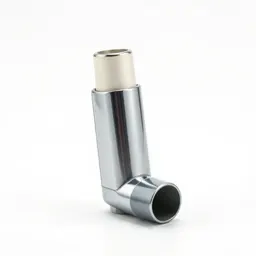 Inhaler