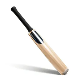 Cricket bat