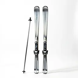 Pair of skis with poles
