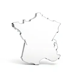 French curve template