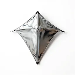 Kite