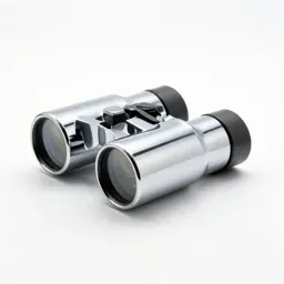 Stereoscope viewer