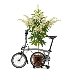 Brompton stock