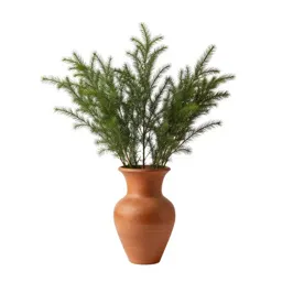 Catananche