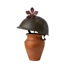 Helmet orchid