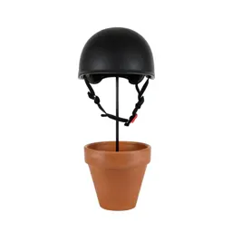 Helmetflower