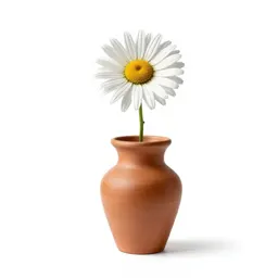Painted daisy