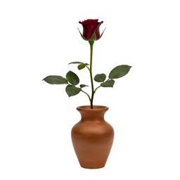 Rosebud