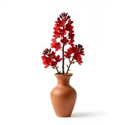 Scarlet musk flower