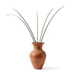 Stelis