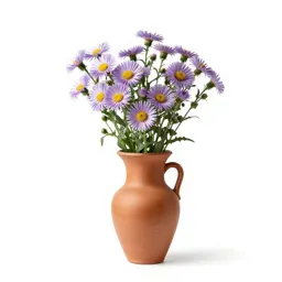 Stiff aster
