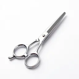 Pair of grooming scissors