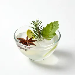 Gin and tonic with botanicals