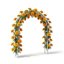 Marigold arch