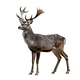 Crystalline deer