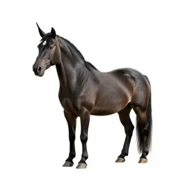 Unicorn at rest