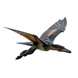 Pteranodon gliding