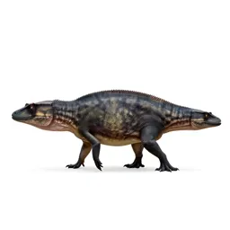 Ichthyosaur