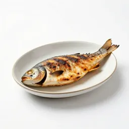 Grilled fish on a plate