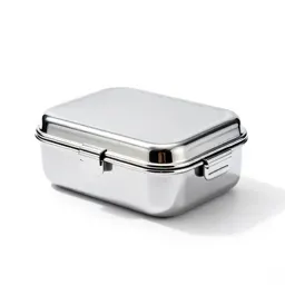Lunch box with clips