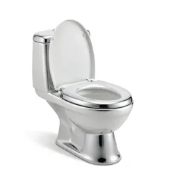 Potty