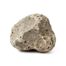 Chunk of pumice