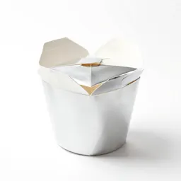 Folded takeaway noodle box