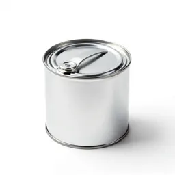 Paint tin with a lever lid