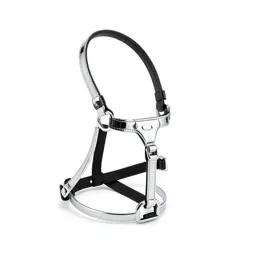 Harness with a handle