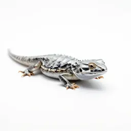 Reptile hide