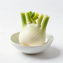 Fennel bulb