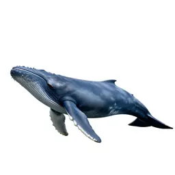Blue whale