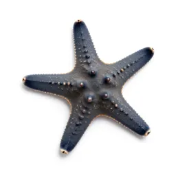 Brittle star
