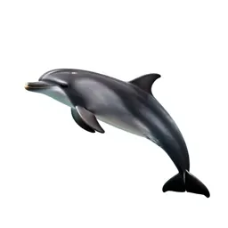 Dolphin mid-leap