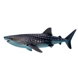 Whale shark with remoras